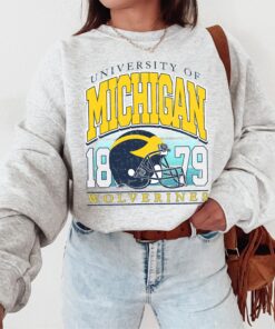 Vintage Michigan Crewneck Sweatshirt, Distressed Michigan Shirt, Illinois Fan Crewneck Michigan, Illinois Gift, College Sweater